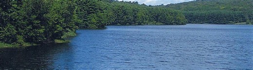 Liquid Lunch with The RWA: Christmas Tree Farming | South Central Connecticut Regional Water Authority