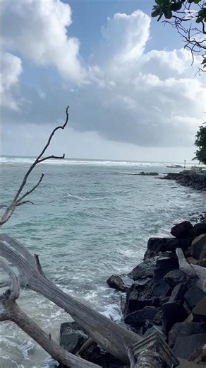 Polhena Beach 🇱🇰 🛩🛥⛱🌴🐋🐘🐆🏄