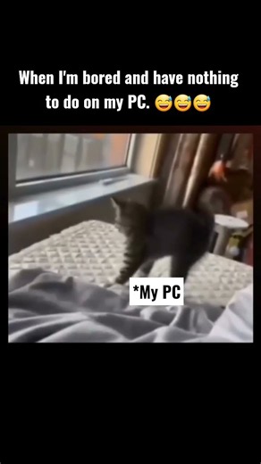#winxp #xp #windows #pc #memes #gaming #pcbuild #pcgaming #funny #gamingmemes