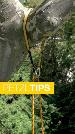 1.1M views · 13K reactions | #PetzlTips : Safeguarding Trees with the TREESBEE Friction Saver Back to the basics — a TREESBEE friction saver can be installed from the ground and remains one of the simplest tools to protect the tree when working  @‌cfppa38 - Eric Vadel #Petzl #arborist #treecare #treeclimbinglions | Petzl Professional | Facebook