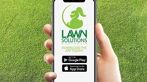 Have you checked out the new Lawn Solutions Australia app yet? You can use it to help you find your local turf suppliers, identify weeds, pests or diseases, reach out to our lawn experts, read up on lawn care, see current lawn store promotions and as a place to keep your lawn pics! Install for Apple - https://apps.apple.com/au/app/lawn-solutions-australia/id1601169399 Install for Android - https://play.google.com/store/apps/details?id=au.com.lawnsolutionsaustralia.app | Lawn Solutions Australia