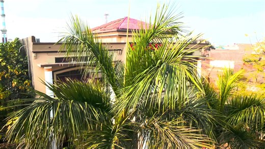 Stunning Galaxy Events for Your Dream Wedding