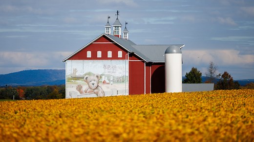 Former Boyds Bear site to become resort and restaurant, minus the iconic mural
