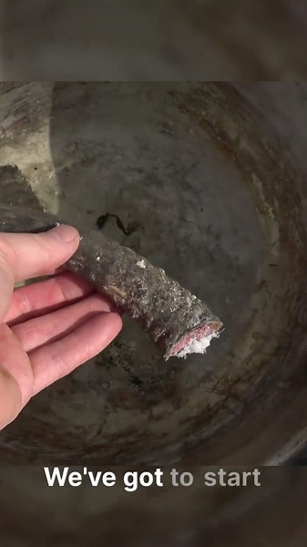 Can I make a REAL Viking drinking horn?