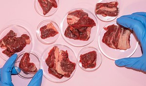 Lab-Grown Meat Could Fight Climate Change But Is It Really the Future? Bill Banning Cultivated Meat Passes In Italian Senate