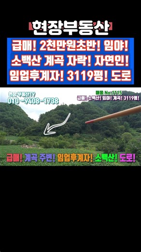 3119평 임야 매매 2천만원초반 임업후계자 #급매 #부동산 #임야 #자연인 #임업후계자 #어의곡리