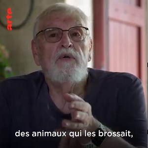 💲🌱 Peut-on limiter le changement climatique par des investissements financiers ? Les banques assurent qu’investir dans un fonds vert permet de soutenir les entreprises durables et de freiner le réchauffement climatique. Est-ce vrai ? Thema sur le Greenwashing. ⤵ https://arte.app.link/la-finance-lave-plus-vert | ARTE Info