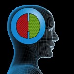 Spiritual Intelligence Education Program