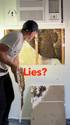 2.7M views · 46K reactions | “There’s no way that hive is only 11...