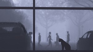 Cat by a window while it rains outside - Free Stock Video