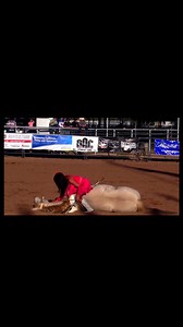 Weekend recap… Brawley @brawleycattlecallrodeo was so much fun!! My whole family got to be apart of it and the horses worked like a million dollars! We’re headed home with so much joy in our hearts!! 💕🙌🏻 So thankful for this beautiful life we get to live and excited to kick the 2026 rodeos off with a bang! #Blessed #RodeoFamily #LetsRoll #TimeOfOurLives #MakingMemories | Haley Proctor