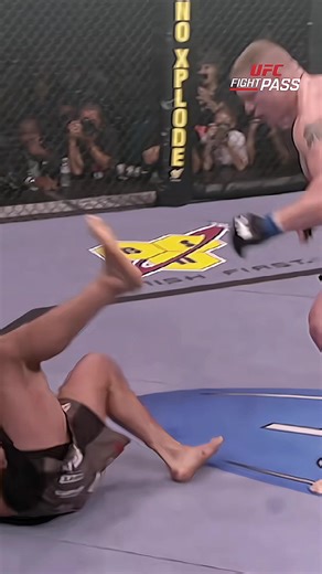 Brock Lesnar's UFC 91 Heavyweight Champion Victory