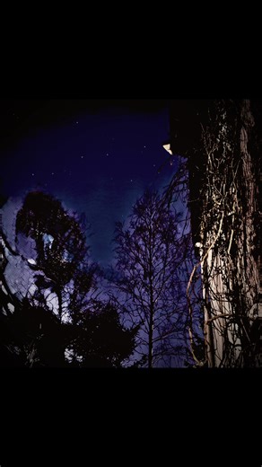 Post processing is funny…sometimes. 😅 #photo #nature #schizophrenic #vibes