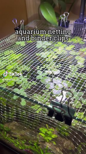 DIY Fish Tank Lid Using Aquarium Netting and Binder Clips