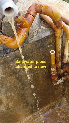 Salt water pipes changed to new pipes how to clean Salt water pipes