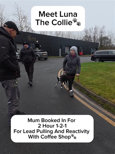 Transforming Luna: From Reactive to Relaxed in Just 2 Hours