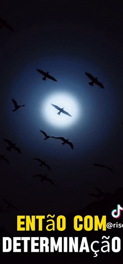 #reflexao #Motivacional #motiflex