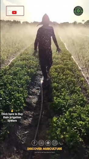 Amazing Rain Irrigation System