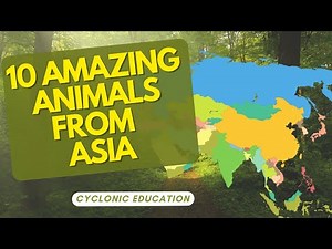 10 Amazing Animals From Asia 🐯🐘🌍 | Cyclonic Education