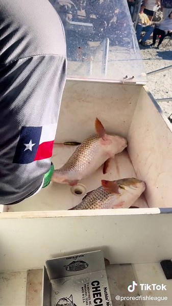 Caleb McCumber and Daniel McRae weighing in on Day 4 of the 2022 Redfish World Series! They took home 5th place overall and $10k in Cash and $400 in Bull Bay Rods! Make sure to watch till the end for a surprise visit from Steve! @Caleb McCumber @bullbayrods