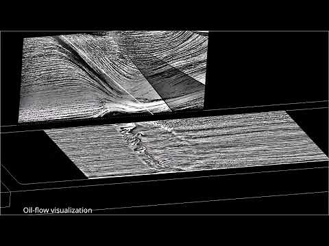 Flow Physics of a Turbulent Shockwave/Boundary-Layer Interaction - A Visual Study