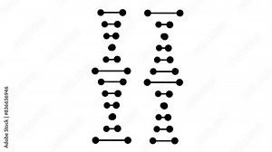 Dna model rotating, minimalist representation of genetic, Dna genome animation. Bio genetic medical science. Gene helix model motion, Genetics concept, Nano science and technology concept. DNA