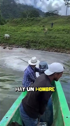 Arreo de río: la hazaña llanera 🤠 para cruzar el ganado 🐄 #cowboys