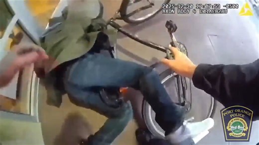 Video shows Port Orange Police officers arresting alleged shoplifter in New Smyrna Beach - WSVN 7News | Miami News, Weather, Sports | Fort Lauderdale