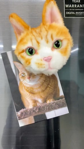 12K views · 297 reactions | Cuddle Clones on Reels | Facebook