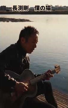長渕剛 僕の猫 #guitar