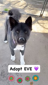 988 reactions · 87 comments | Eve is a squiggly, wiggly, adorable...