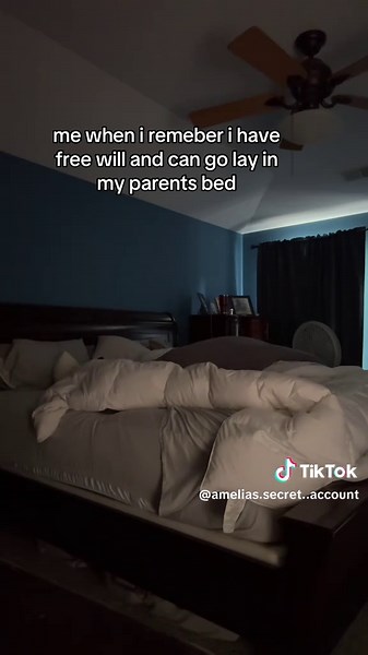 Discover the Most Comfortable Bed Experience