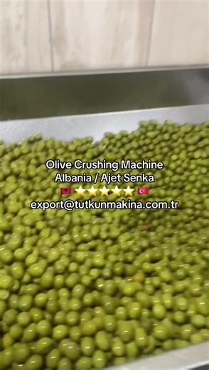 Olive Crushing Machine