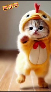 170K views · 3.1K reactions | Kittens dancing  #dance #dancevideo #kittens #cat #catlife #catlovers #fyp #fun #funnyvideo #funny #justforfun #AI #viralreels #fbreels #cute #happy #followers #highlights #friends #explore #everyone #reels #trend #fypviralシ | Helen Tan | Facebook