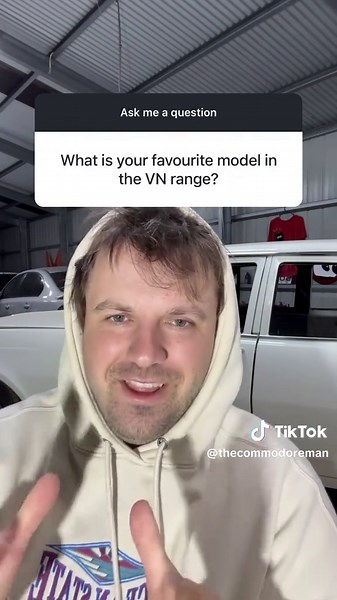 Top Favourite Holden VN Models: Why the Executive Stands Out