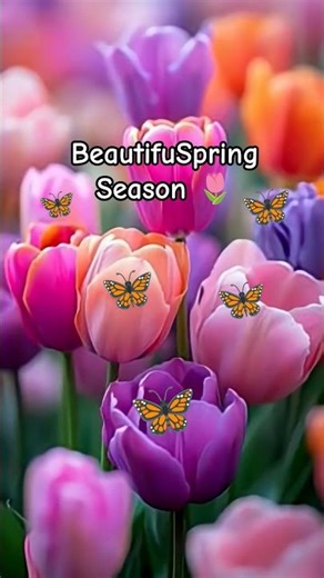 Beautiful Spring Season 🌷#shorts