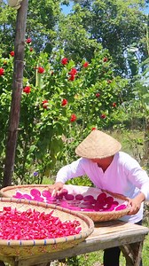 Dragon fruit tea | Joseph The Explorer