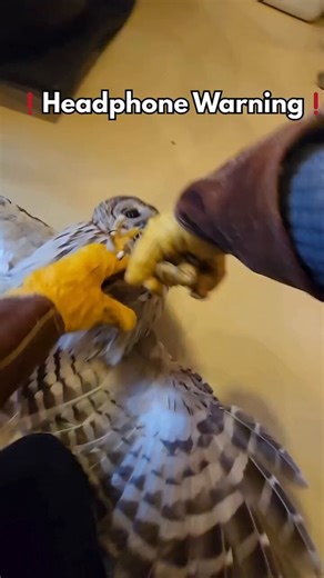 oomfie please don't be scared this is for your own good