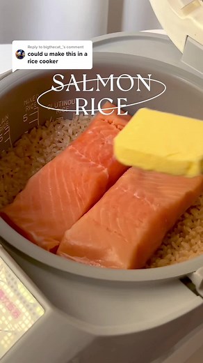 Delicious Salmon Rice Cooker Recipe