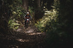 Wild Mersey Mountain Bike Trails - Latrobe Council Tourism Website
