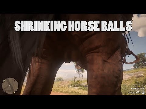 Shrinking horse balls - Red Dead Redemption 2