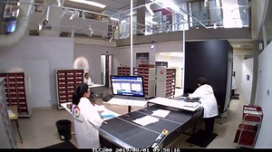 1.1K views · 41 reactions | Happy National Science Week! Check out the Picturae team busily digitising over 1.4 million preserved plant specimens at the National Herbarium of NSW   Learn more about the largest herbarium imaging project in the southern hemisphere: https://bit.ly/3217lEI | Botanic Gardens of Sydney | Facebook