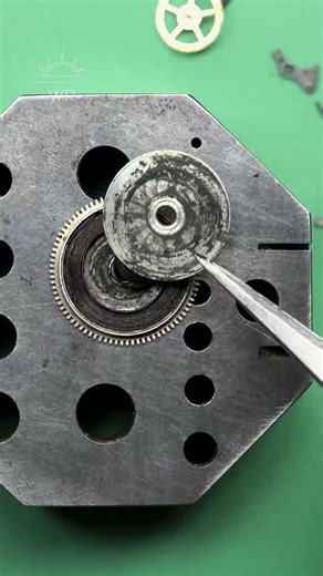 What Happened to You!?