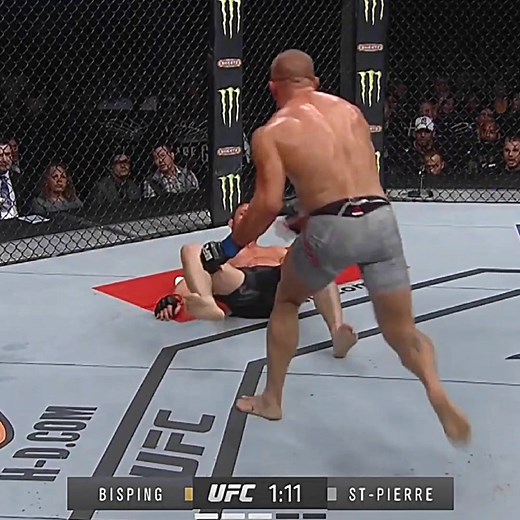 Michael Bisping vs George St Pierre UFC Fight