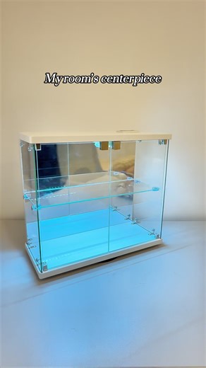 I love this new display case! Now my collectible toys won't get dusty anymore!Perfect for storing figurines, collectibles, and toys.🧸 💕 #displaycase#blindbox #storagebox #doll #popmartblindboxes