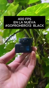 Nuevo modo ráfaga en cámara lenta a 400fps con #GoProHERO13 Black Macro Lens Mod. ¡Detené el tiempo hasta 13x para ver todos los detalles! #GoPro #Slomo #SlowMotion #Slowmo #Rainforest #GoProFamily @willstrath | GoPro