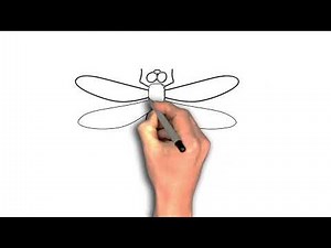 Easy to Draw a Dragonfly — Simple Line Art Guide