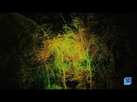 The Lost City of the Monkey God - Official Trailer