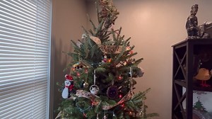 What to know about Christmas tree disposal in Oklahoma City and Yukon