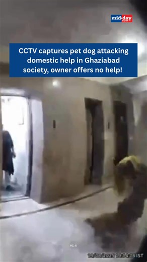 7.2K views · 22 reactions | Trigger warning: Viewer discretion...